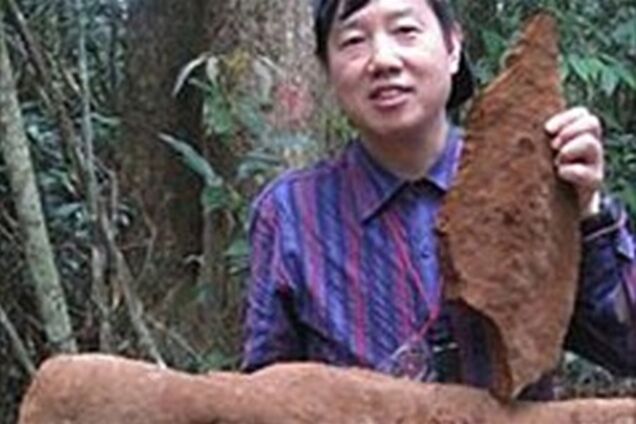 У Китаї знайшли гриб вагою в півтонни