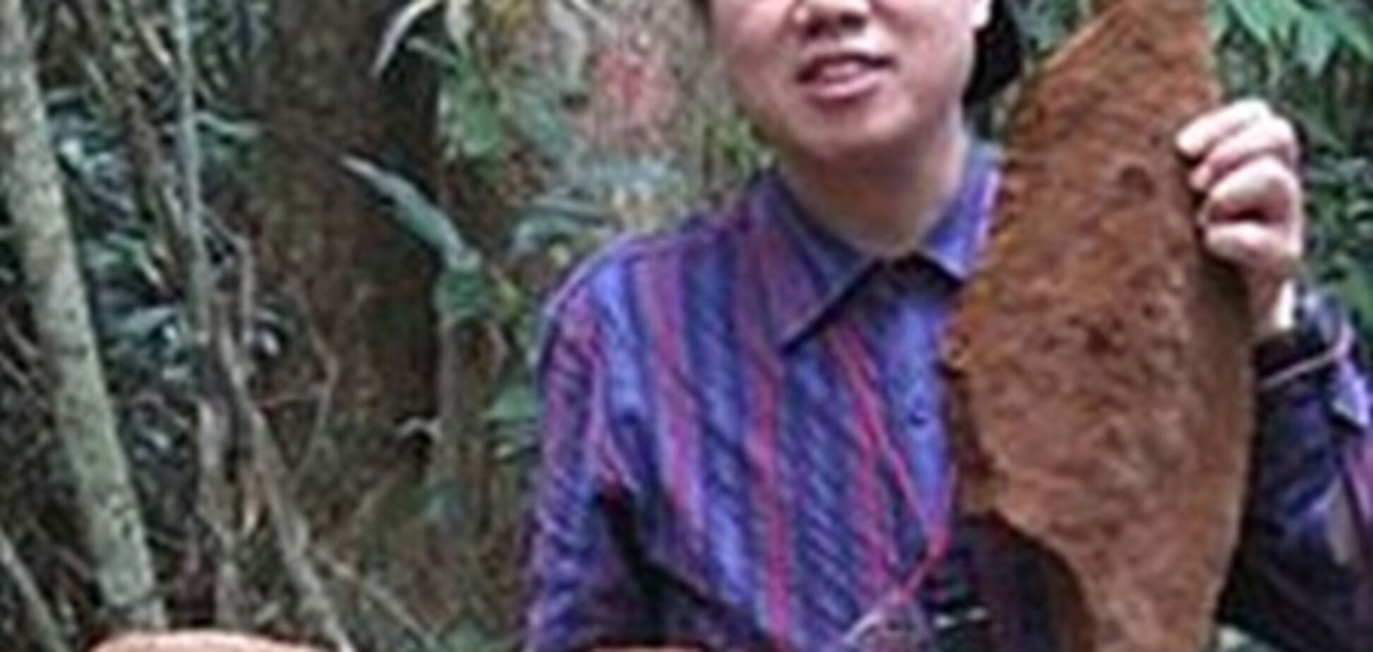 В Китае нашли гриб весом в полтонны