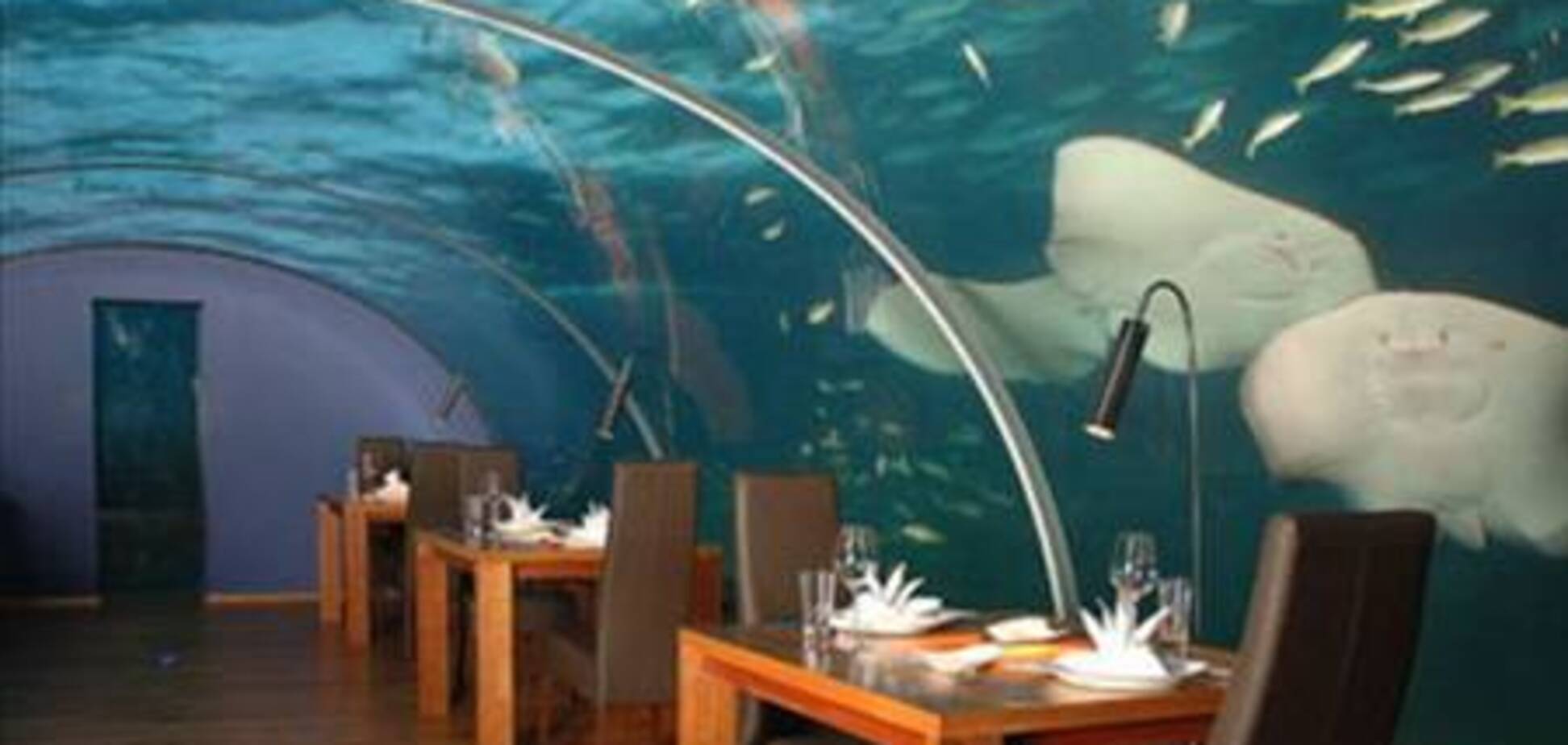 Лучшие рестораны мира