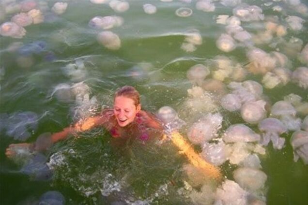 Нашествие медуз у побережья Болгарии