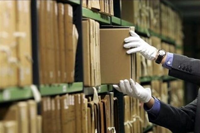 Архіви політичних партій не повинні опинитися за межами України - Гінзбург