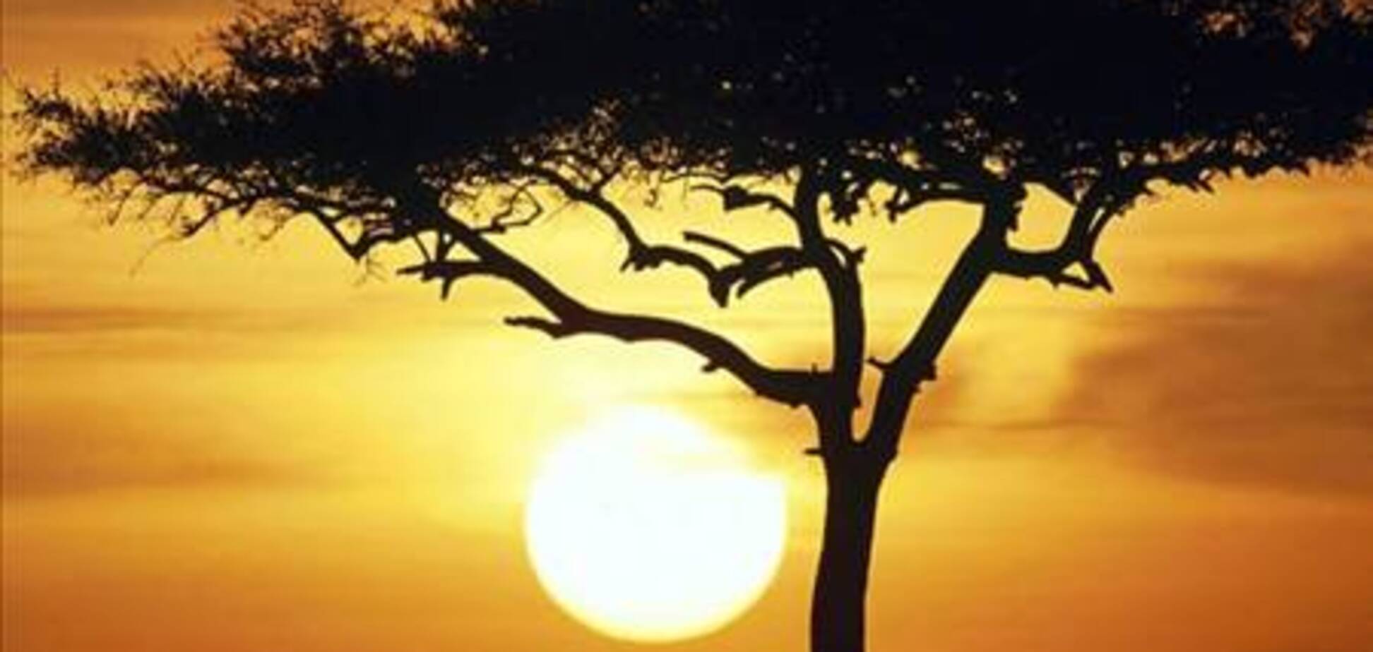 Вся правда про африканскую кухню