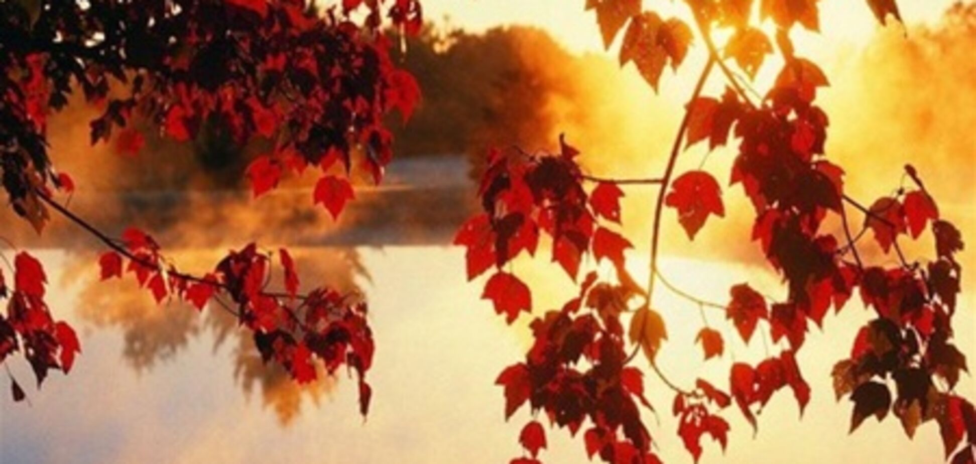 Сентябрь ждем теплый, октябрь с дождями, а ноябрь предрекают уже с морозами и снегом