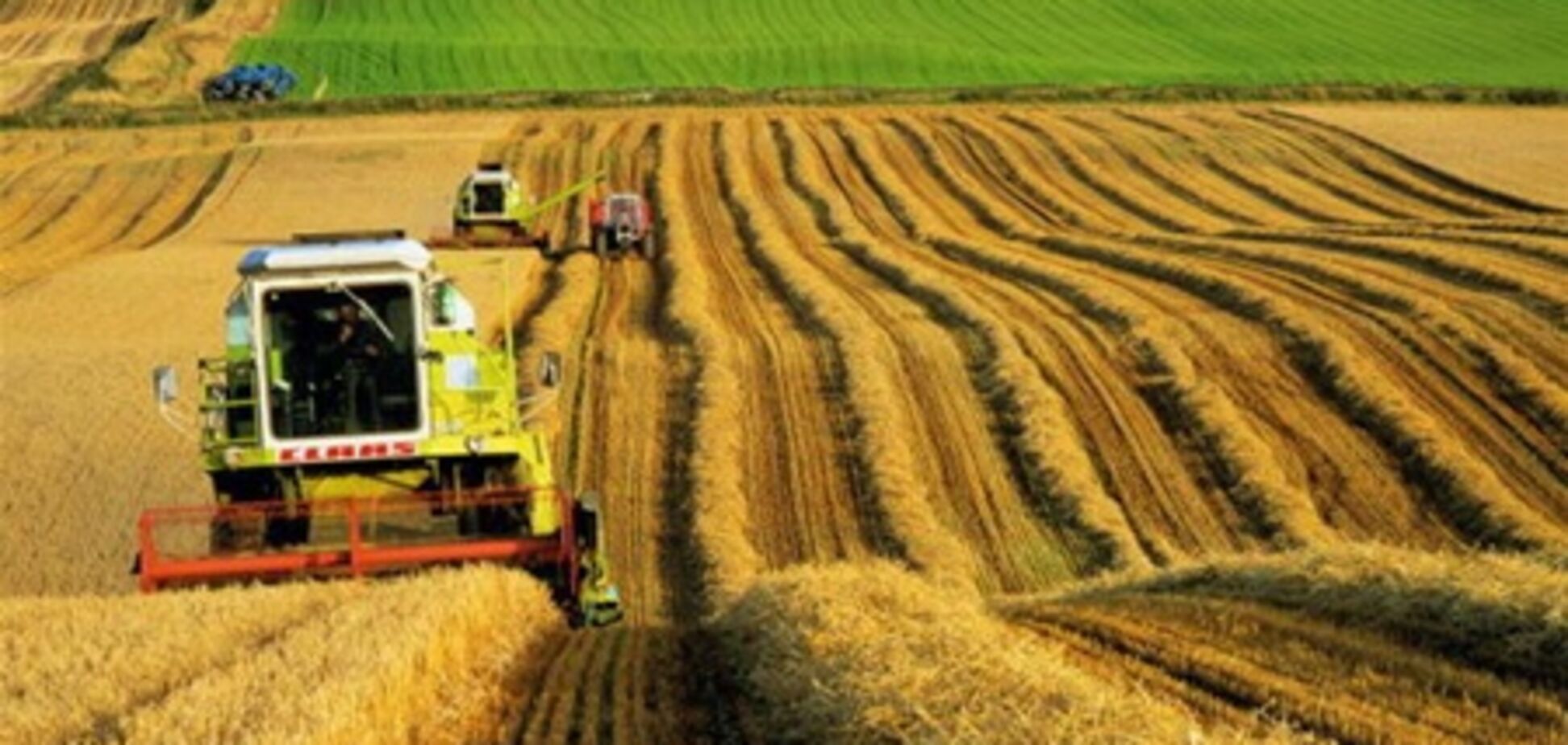 Сельское хозяйство подтолкнуло рост ВВП Украины