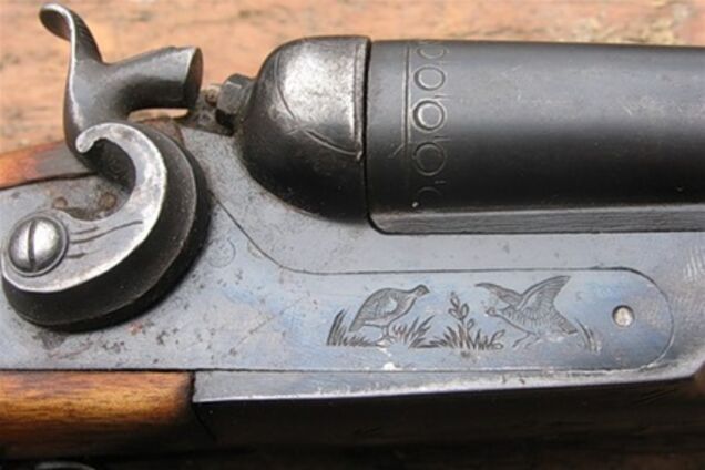 На Тернопільщині дівчинка вистрілила з рушниці в сестру