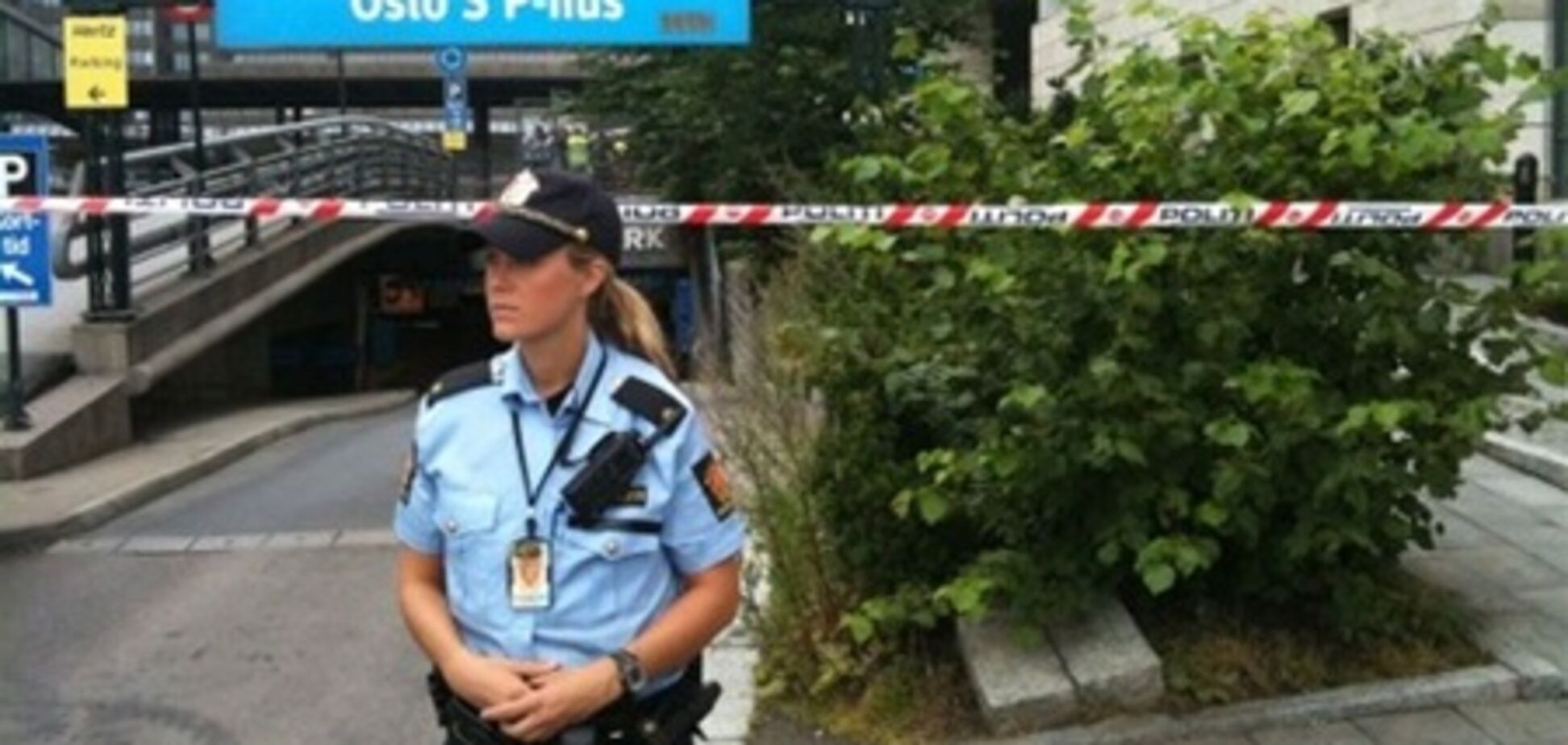 В Норвегии арестован хранивший дома оружие националист