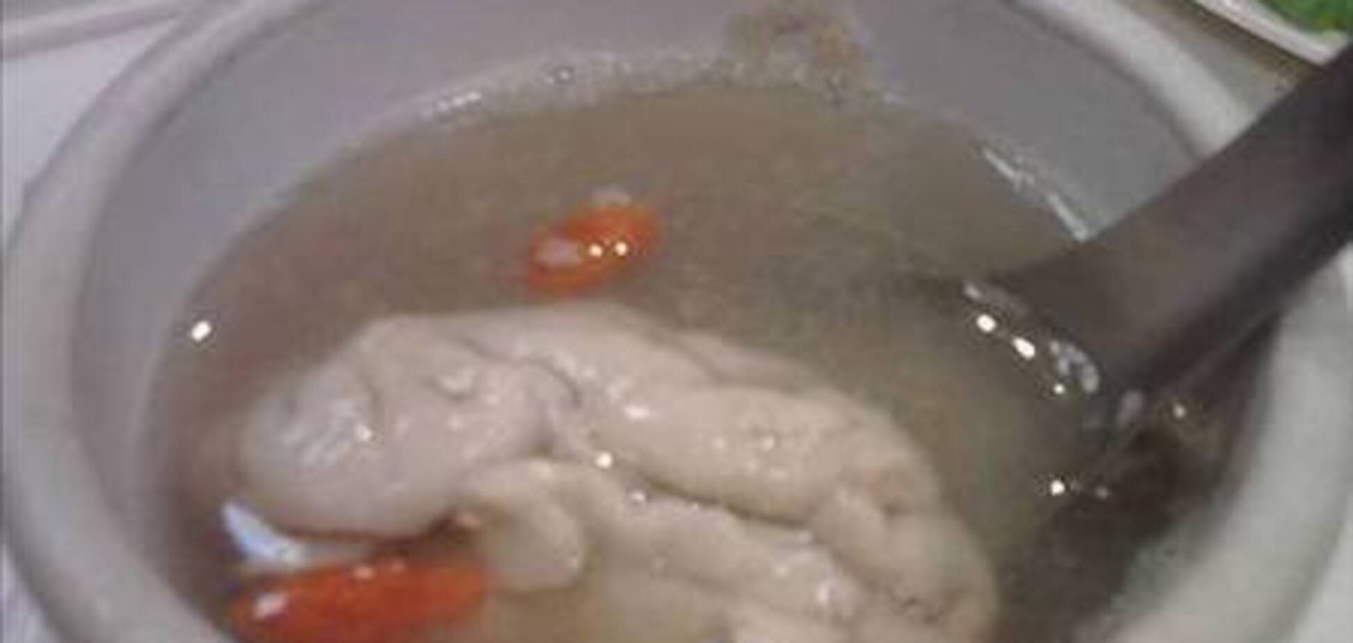 Самые экстравагантные блюда мира