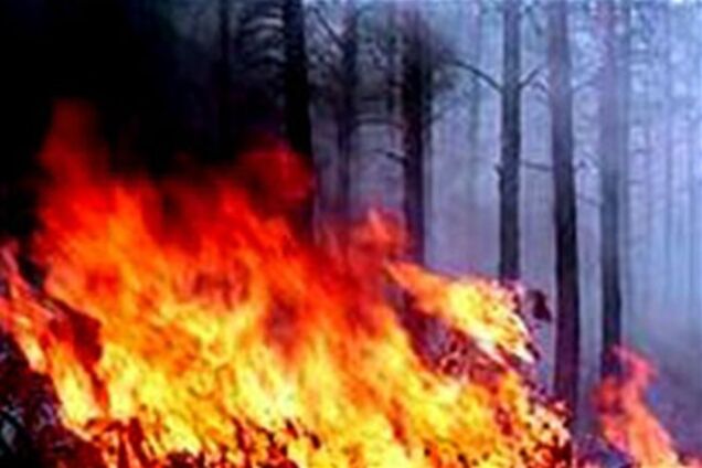 Херсонщина. На території заповідника горіли 20 гектарів