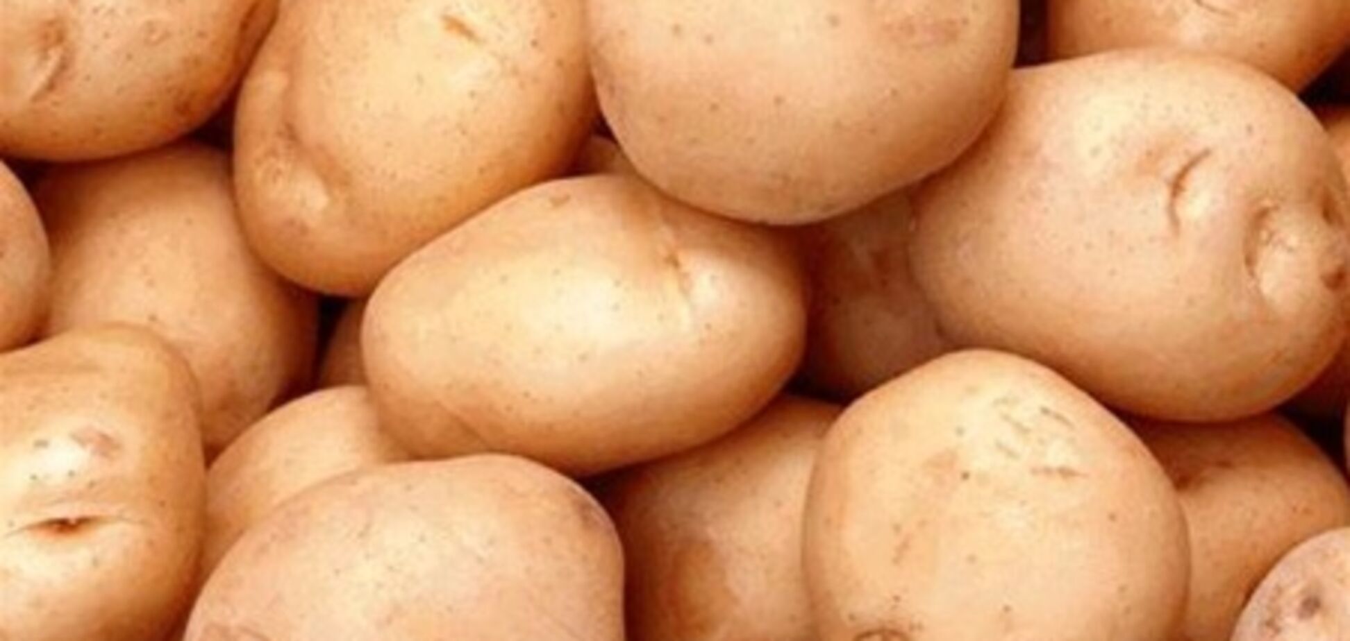 Украине пообещали рекордный урожай картофеля