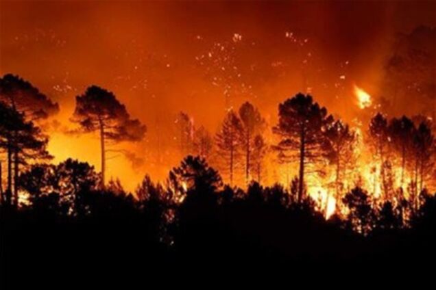 Майже всім областям України загрожують пожежі - МНС