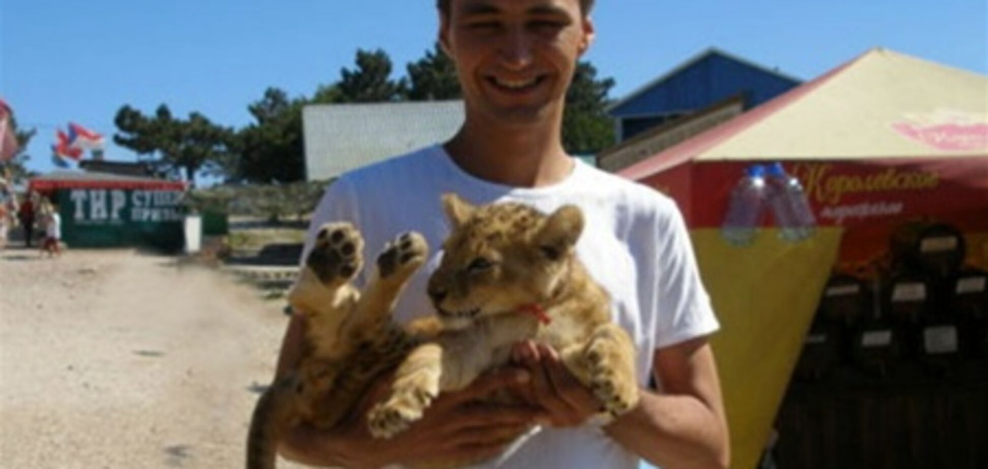 Ландик хотел дать Коршуновой 'непристойную' сумму компенсации