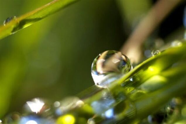 В выходные погода порадует жителей Киева