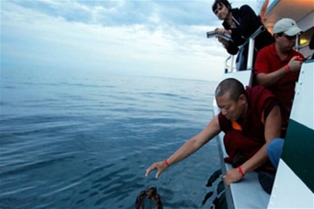 Порятунок лобстерів буддистами