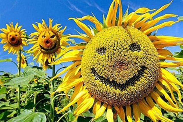 Погода: в понедельник будет жарко, на западе пройдут дожди