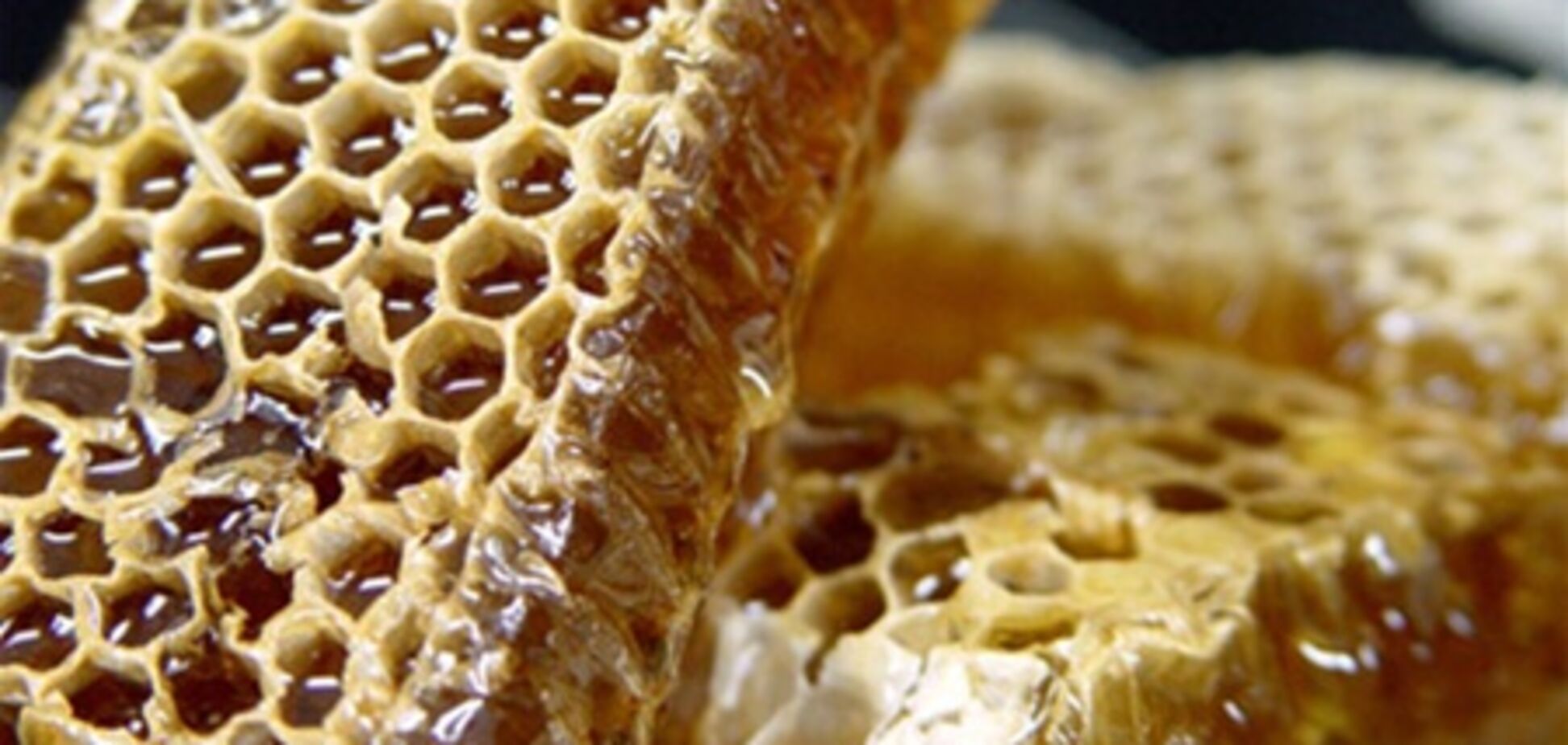 Мед – праздник жизни, возносящий дух - этнограф