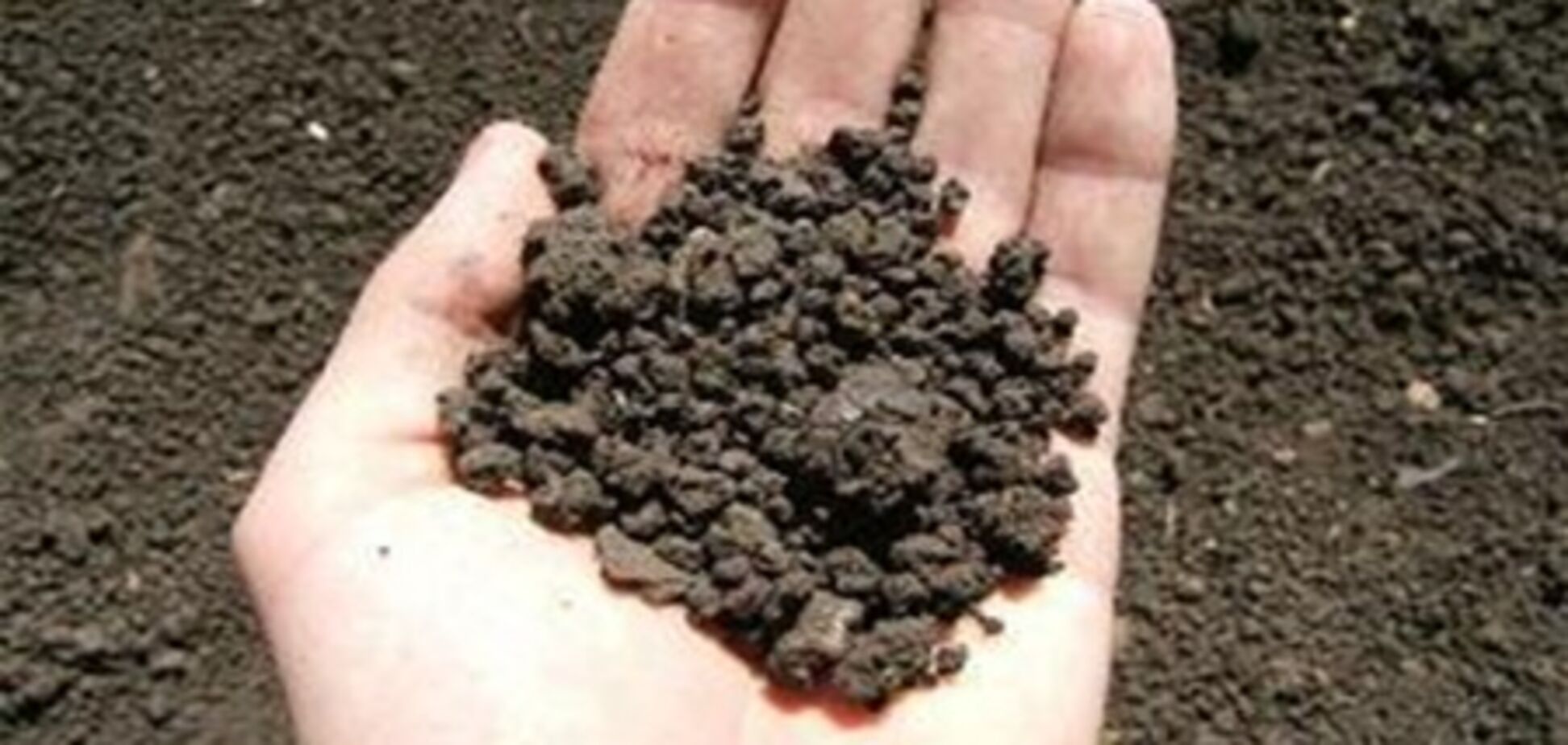 Госземагентство Украины оценило стоимость разграничения земель в 600 млн грн