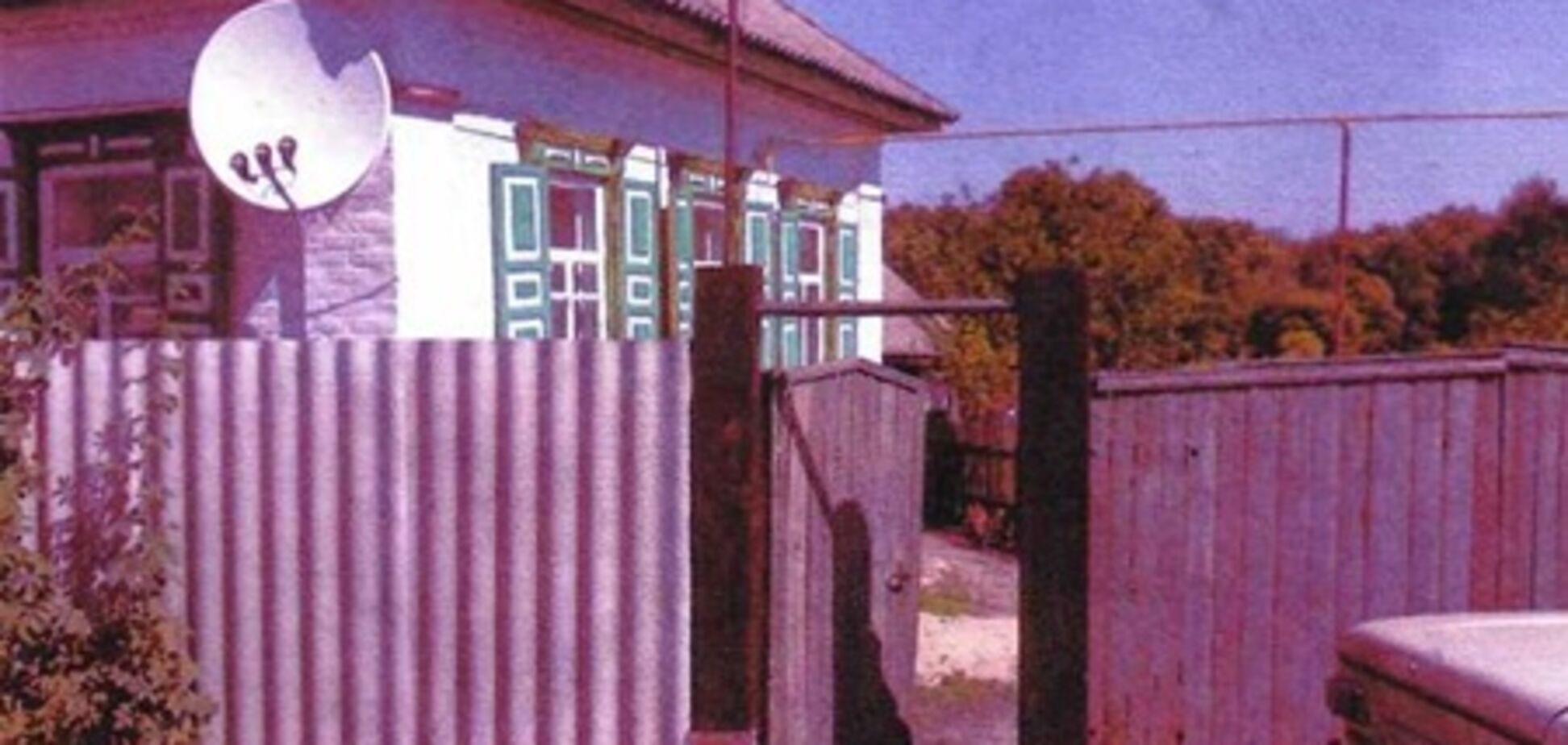 До будці на ланцюг: мати прикувала сина в 'виховних' цілях