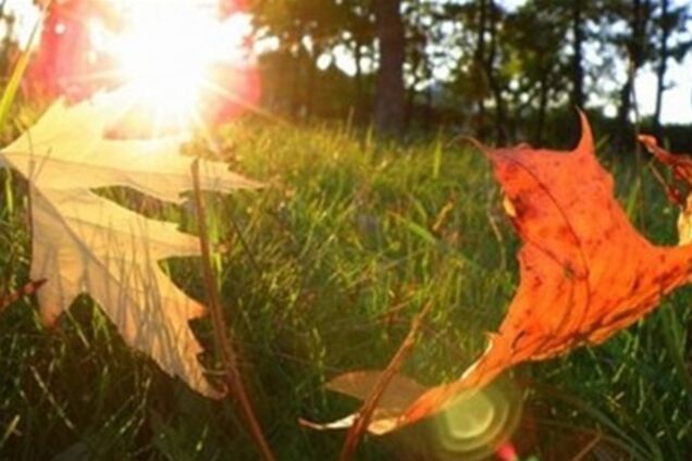 На западе Украины обещают аж три бабьих лета