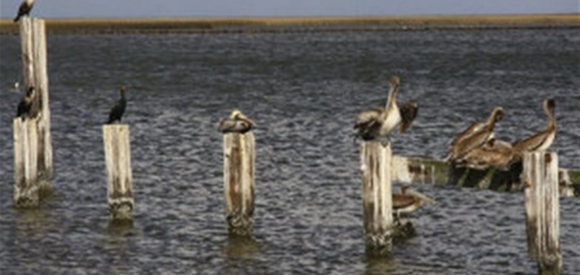 Тропический шторм 'Катя' превратился в ураган