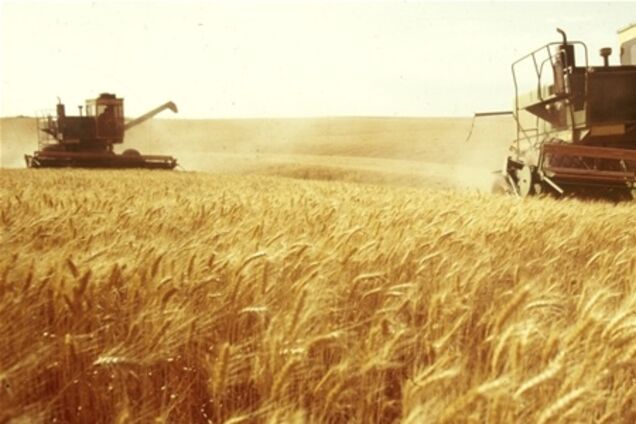 Політична складова українського зерна