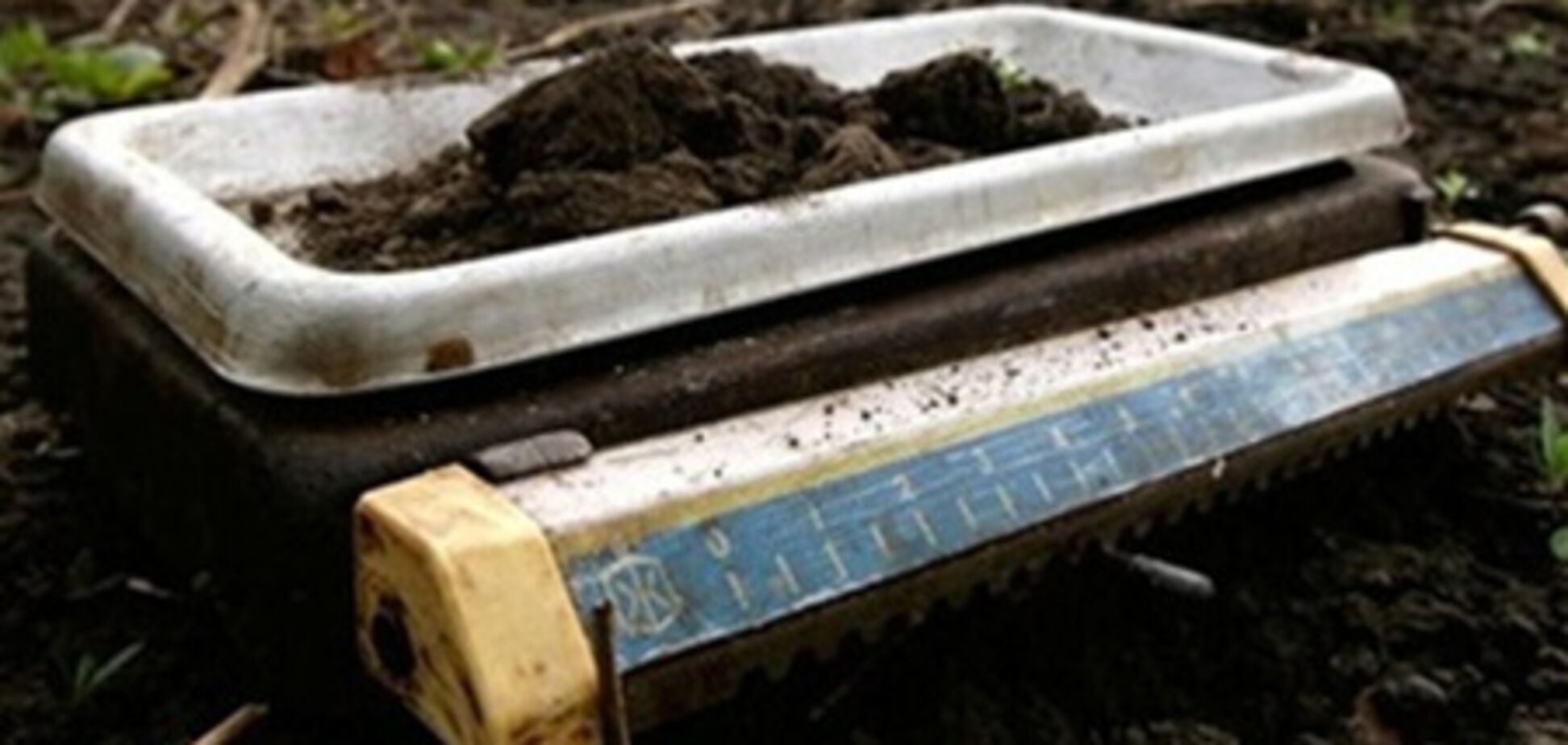 Украинцы не спешат получать госакты на землю