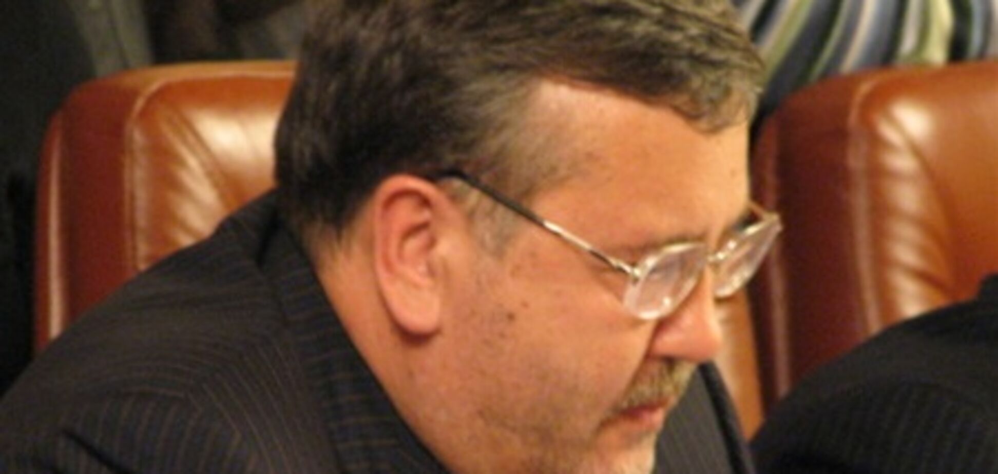 Гриценко: опозиція – не віагра для суспільства