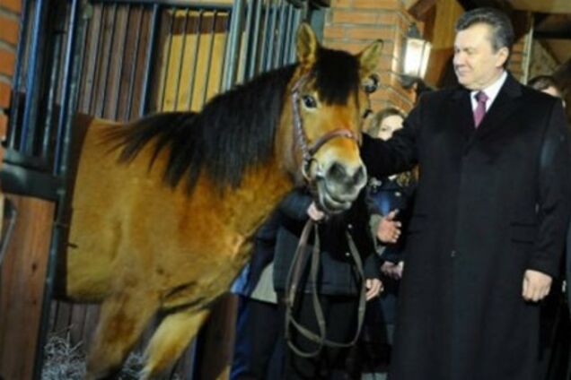 Януковичу подарили коня