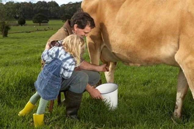 За роки незалежності сільське населення скоротилося на 2,5 млн