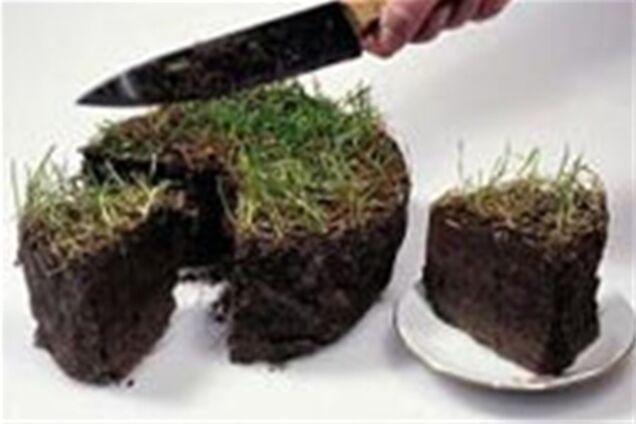 В Киеве не осталось свободной земли