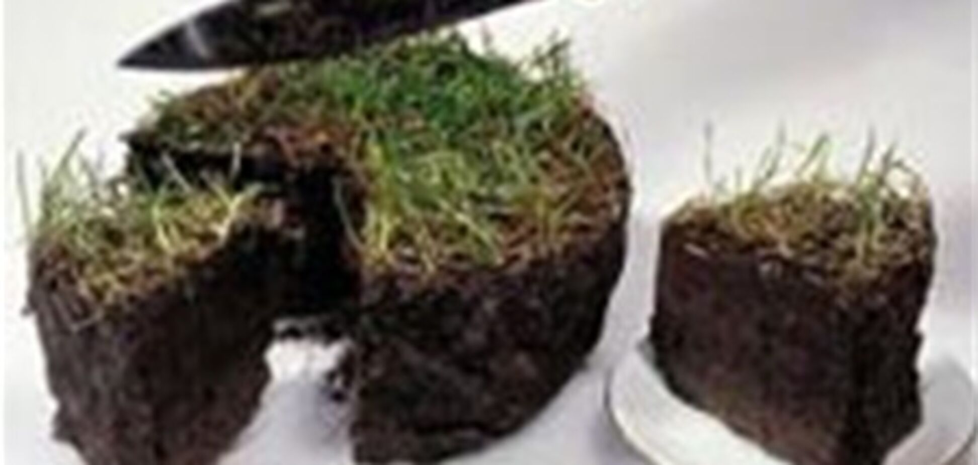 В Киеве не осталось свободной земли