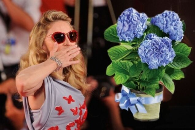 Мадонна потеряла сон из-за украинского журналиста