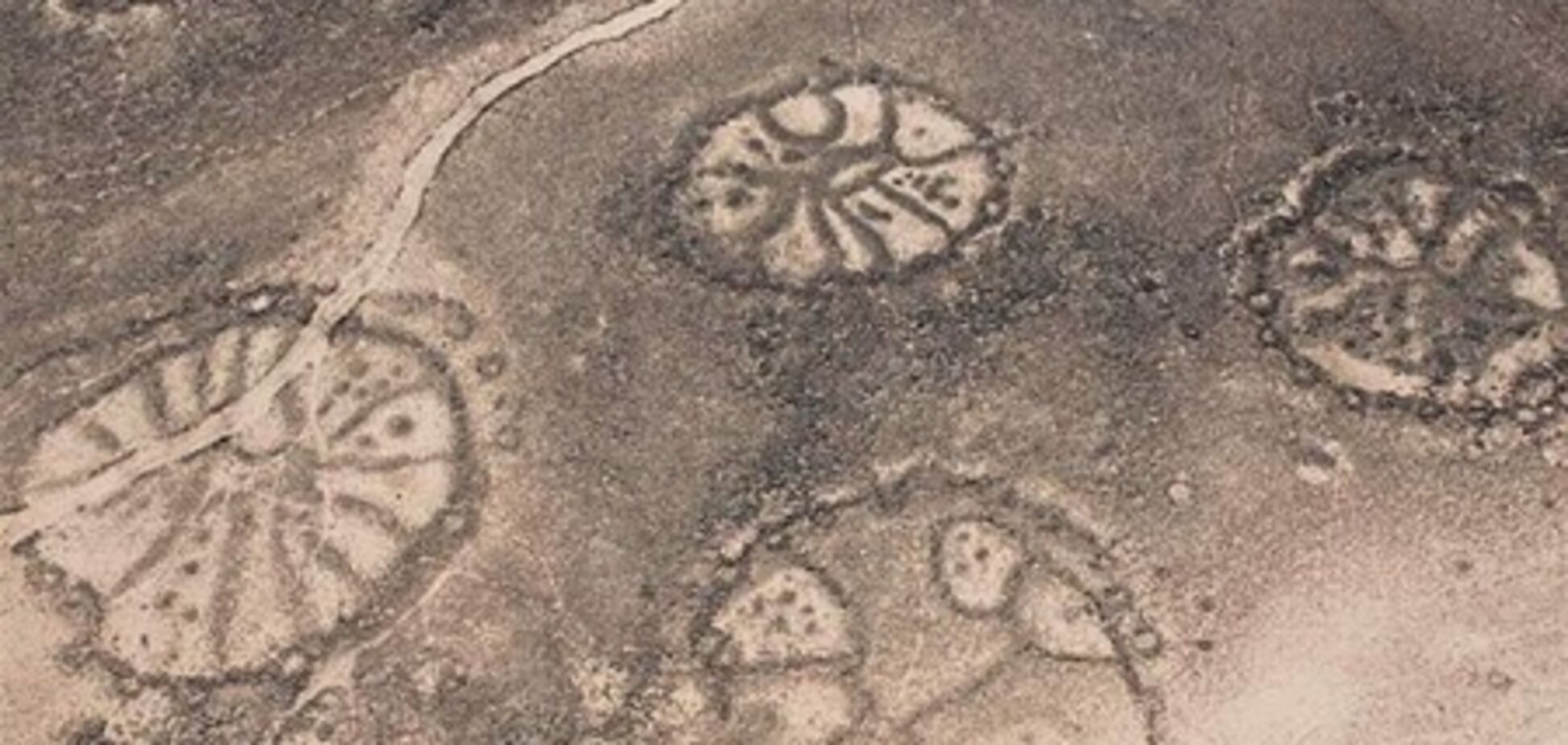 Ученые нашли на Ближнем Востоке тысячи загадочных рисунков. Фото