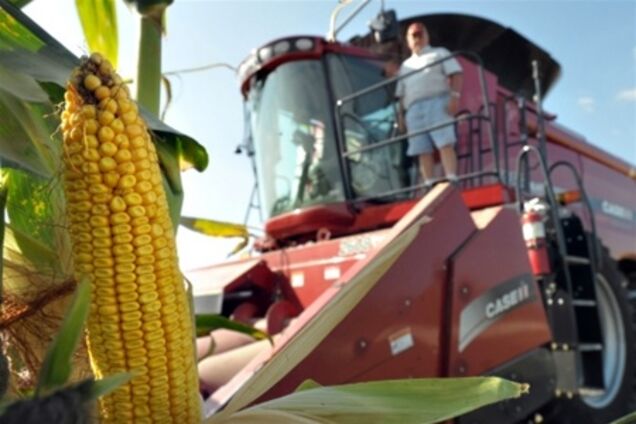 Полтавщина. Чоловік, що спав у кукурудзі, потрапив під комбайн