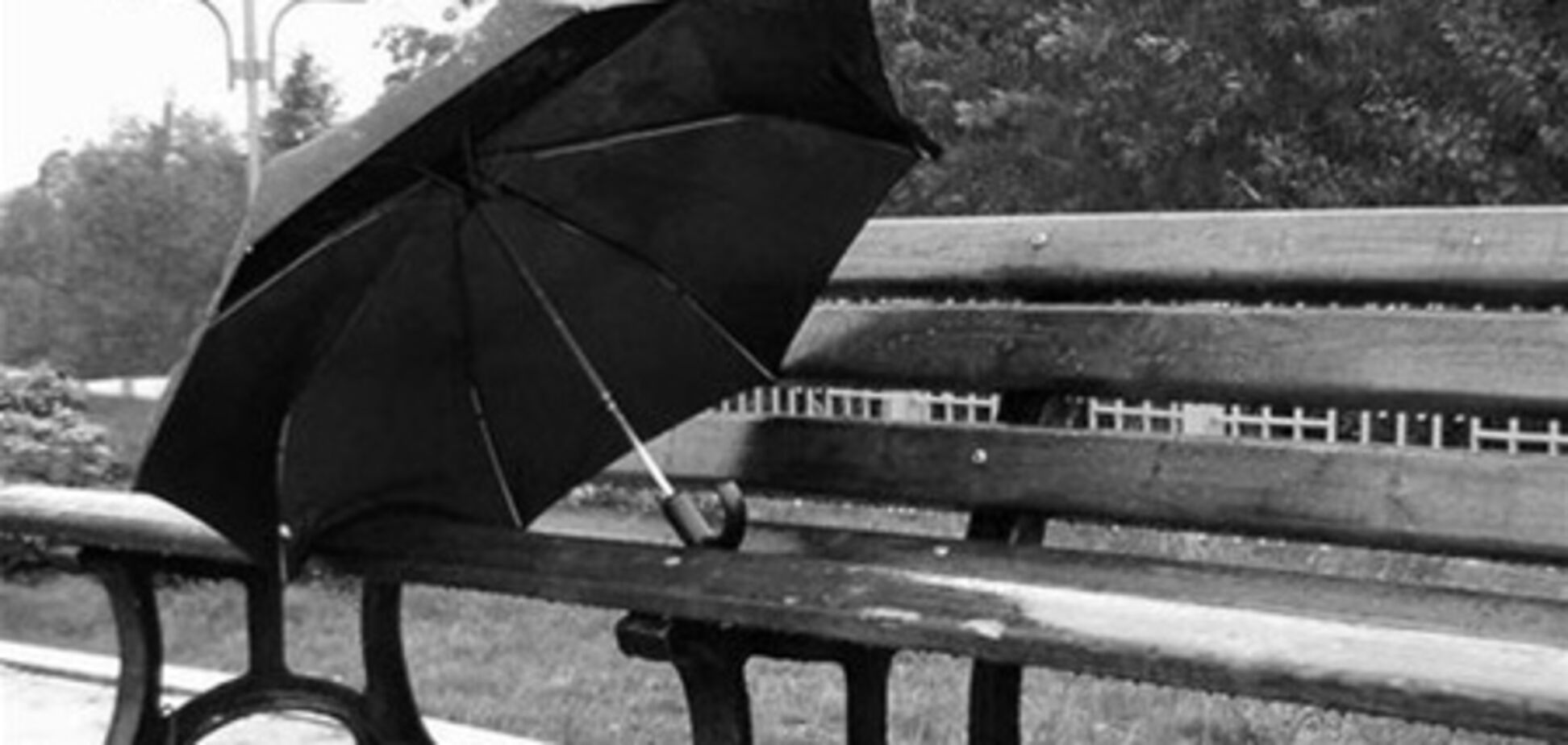 Південь і Схід поллє дощами