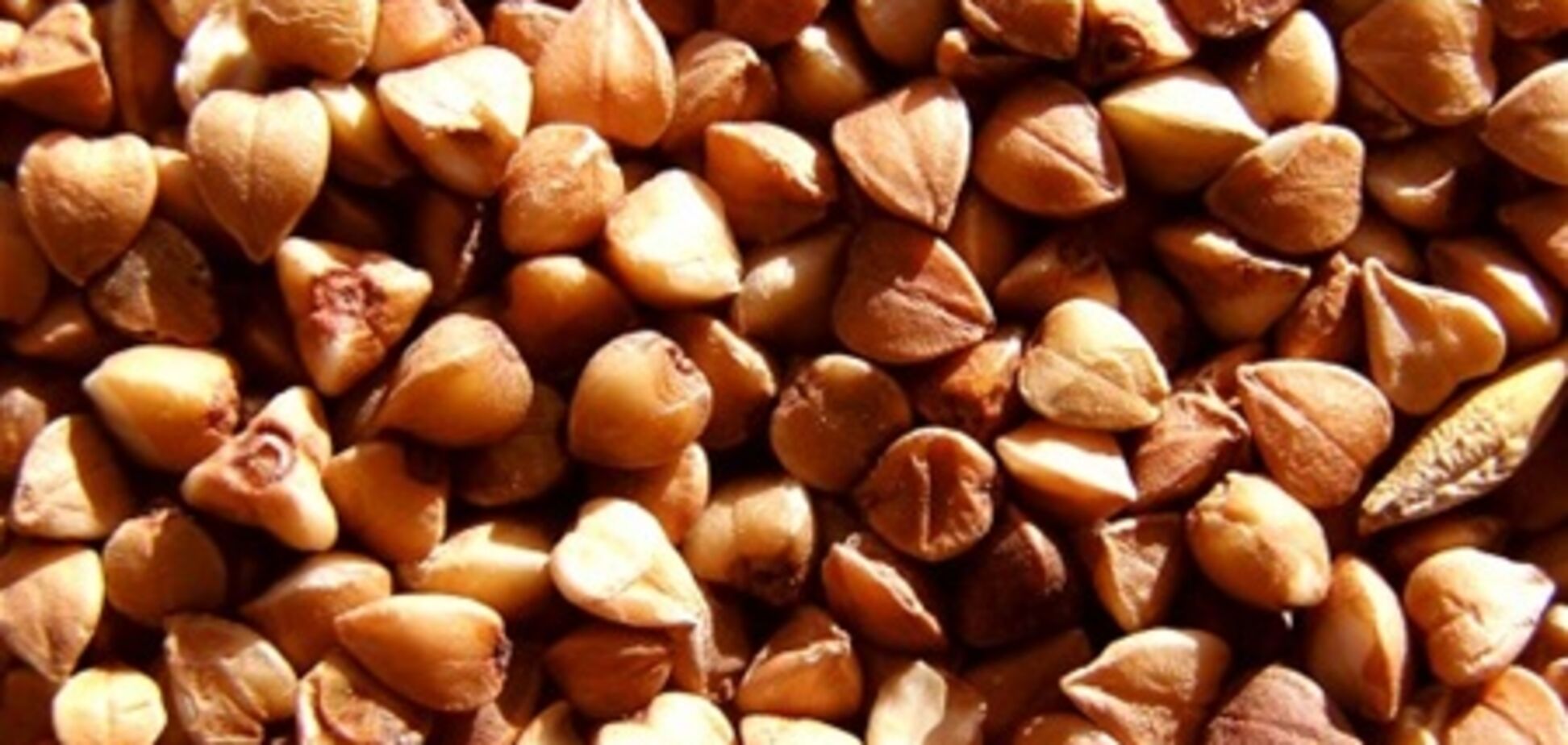 Урожайность нынешнего года закрывает 'гречневую' тему