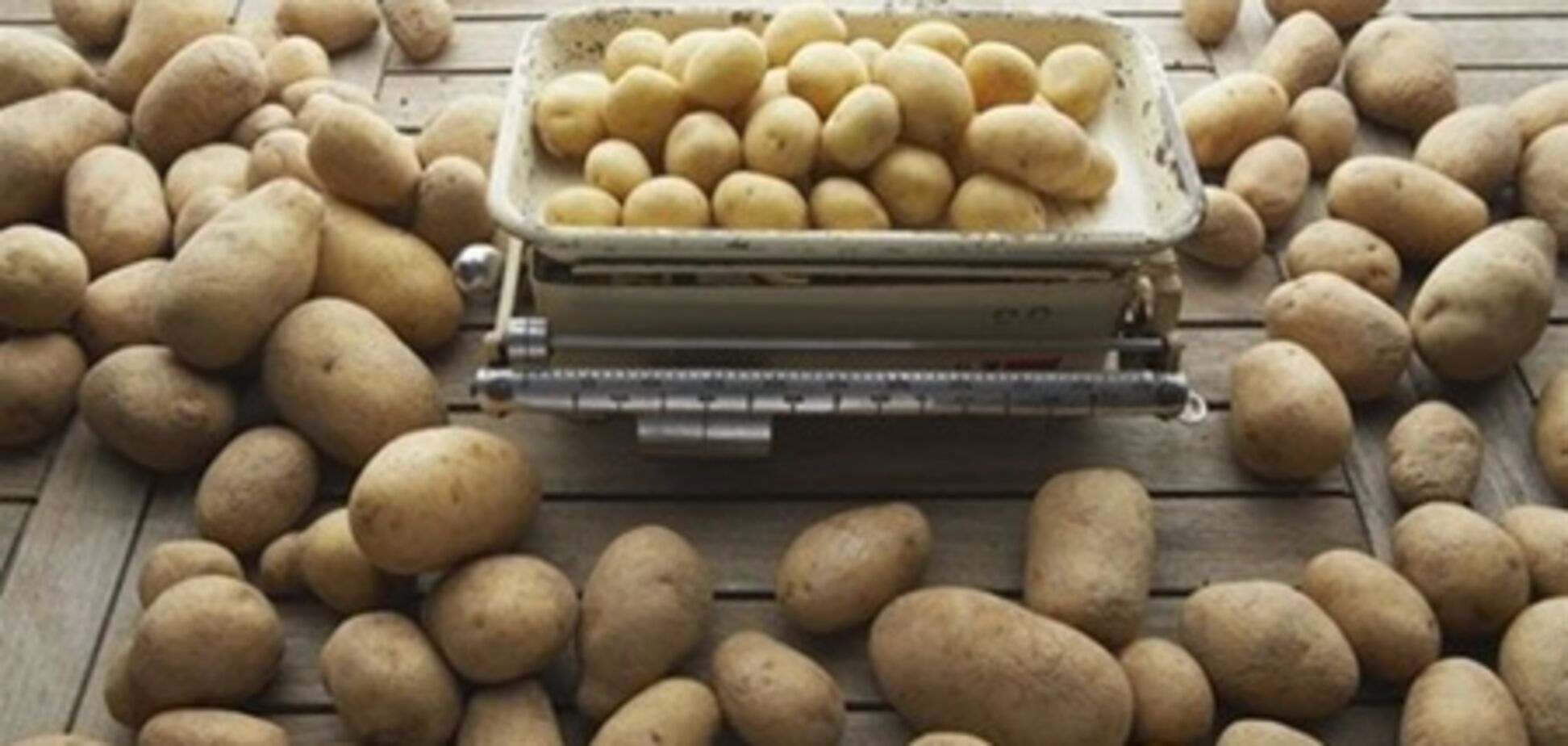 Украинские фермеры пострадали из-за большого урожая картофеля