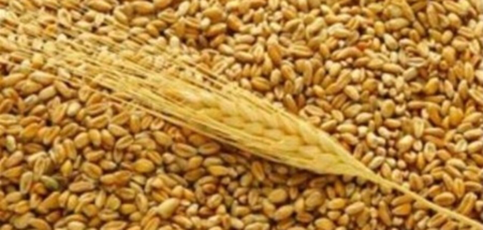 ЕС увеличил зерновые экспортные квоты для Украины в 100 раз