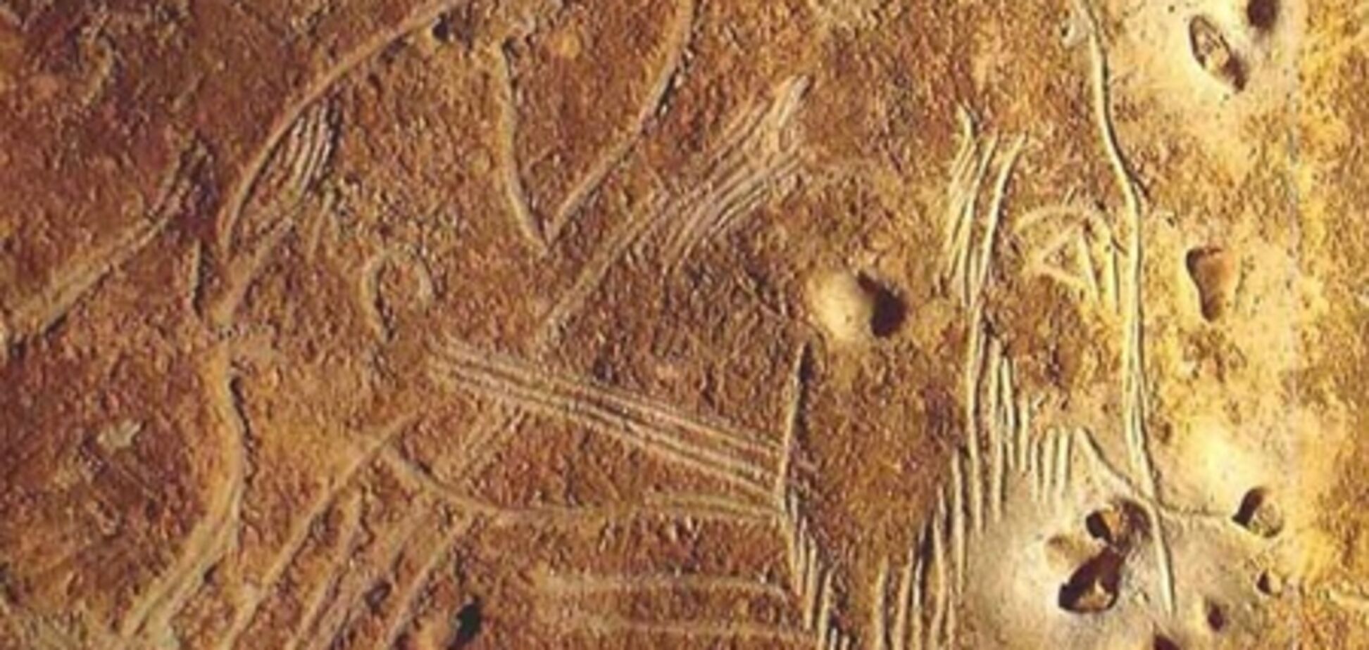 Вчені з'ясували, хто зробив наскальні малюнки