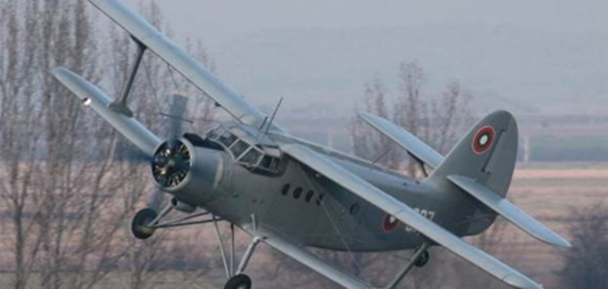 На Вінниччині, зачепившись за дерево, впав літак: пілот загинув