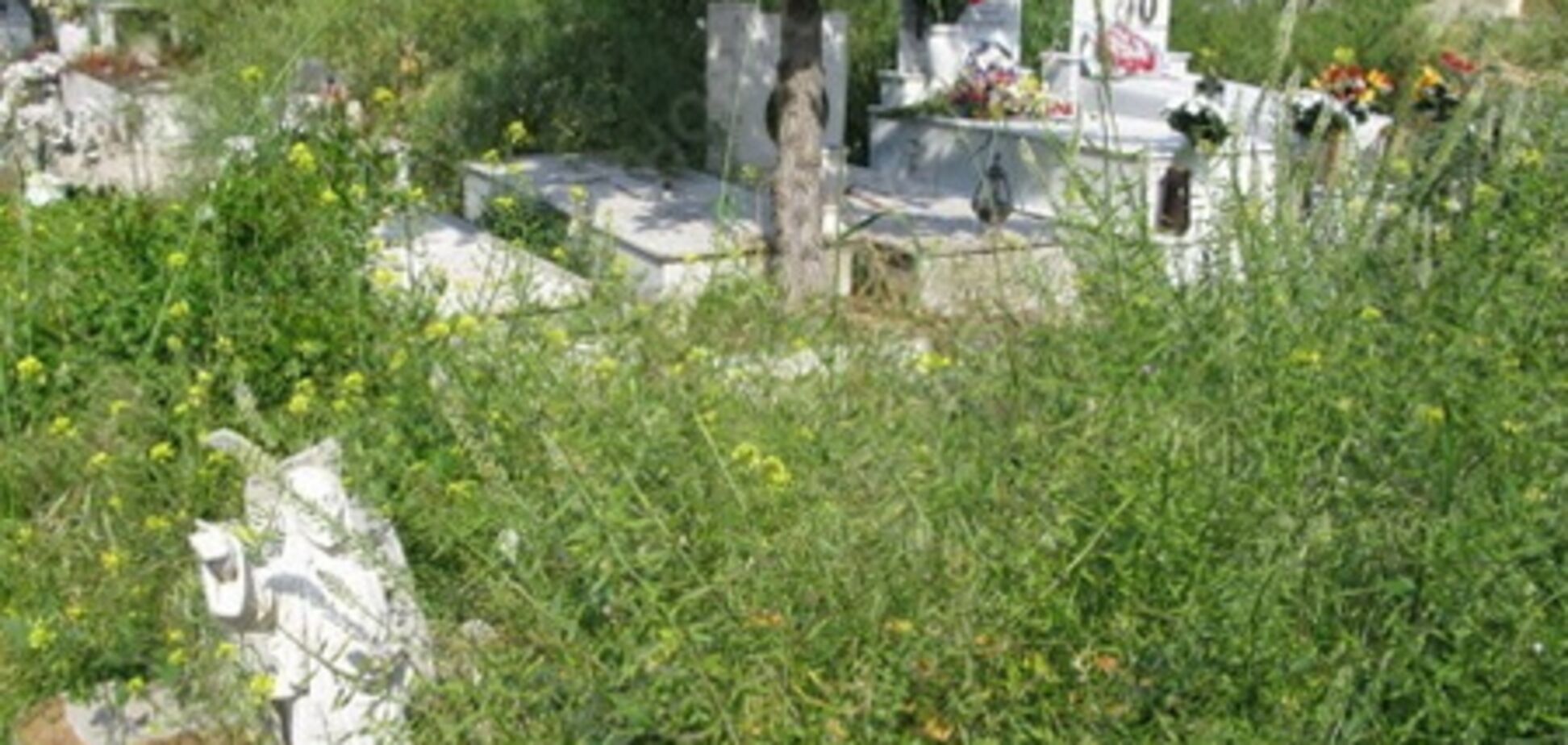 Киевляне: на одном из кладбищ нашли изувеченные тела двух девочек