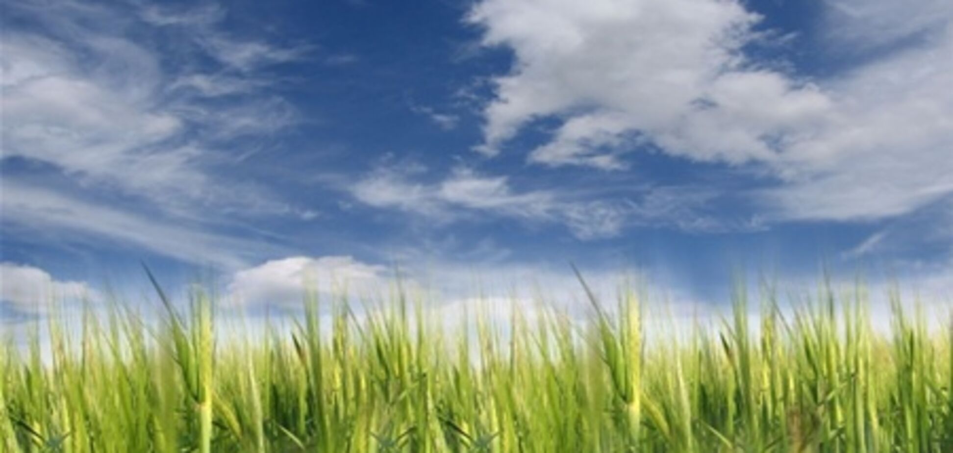 Земельный кадастр появится в Интернете в 2013 году