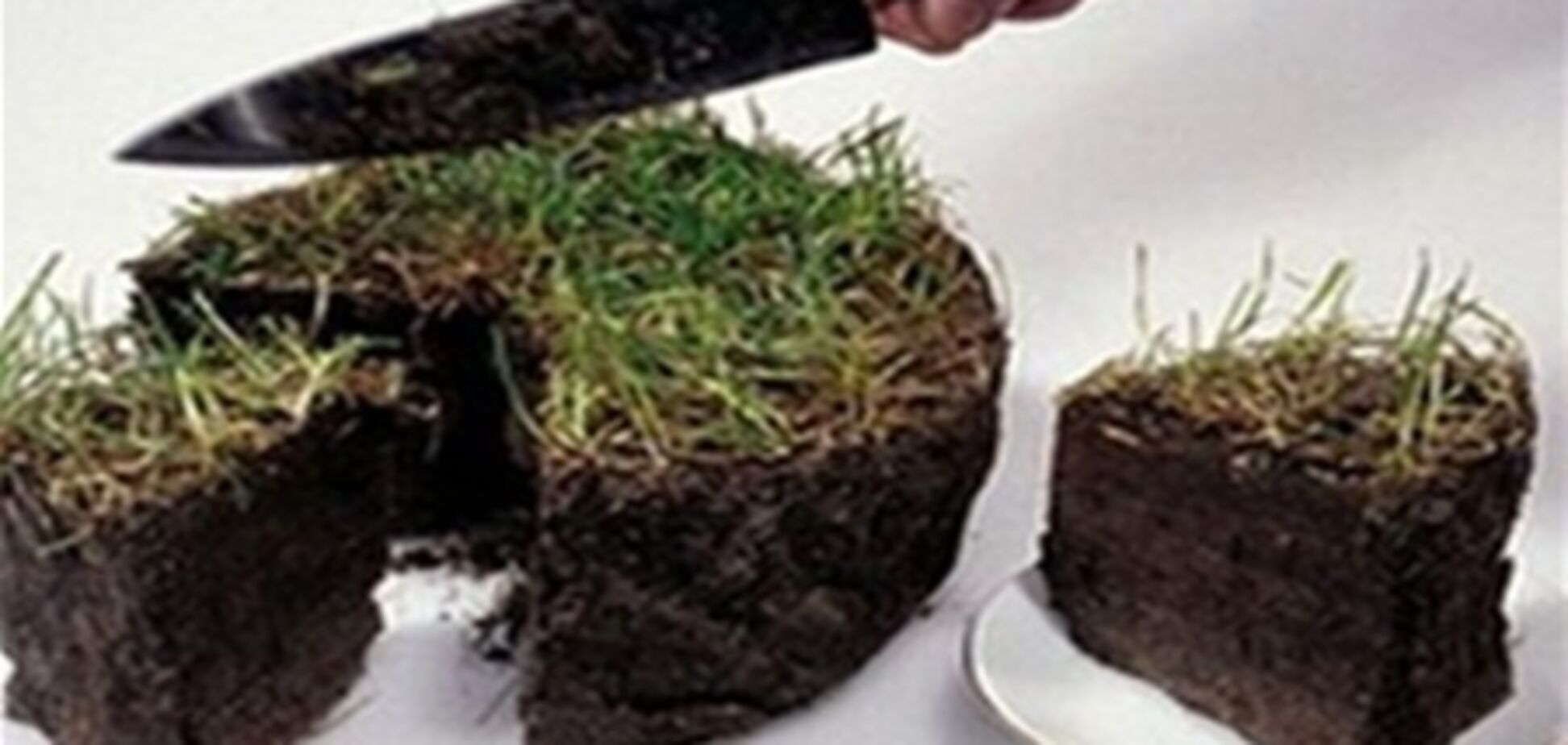 Земельная реформа позволит аграриям получить кредиты - Присяжнюк