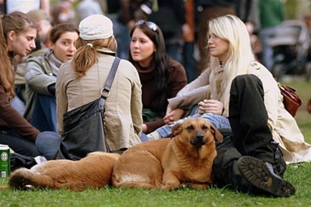 Знайомитися найкраще у колі спільних друзів - дослідження