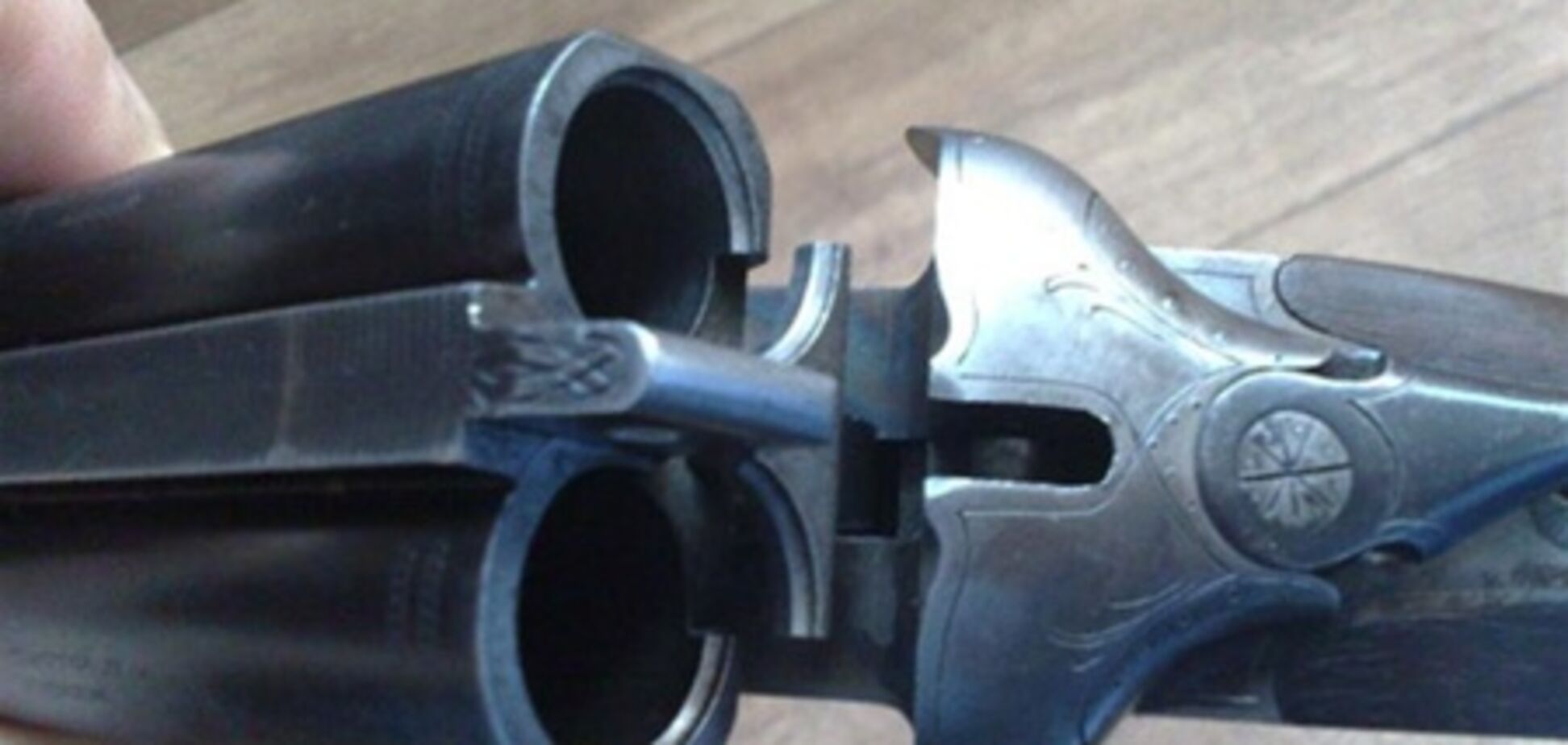 Мужчина с балкона расстрелял собаку