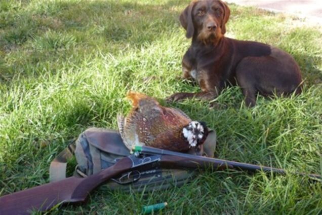 На Святвечір собака підстрелив свого господаря