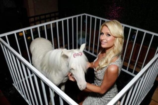 Хилтон обзавелась пони