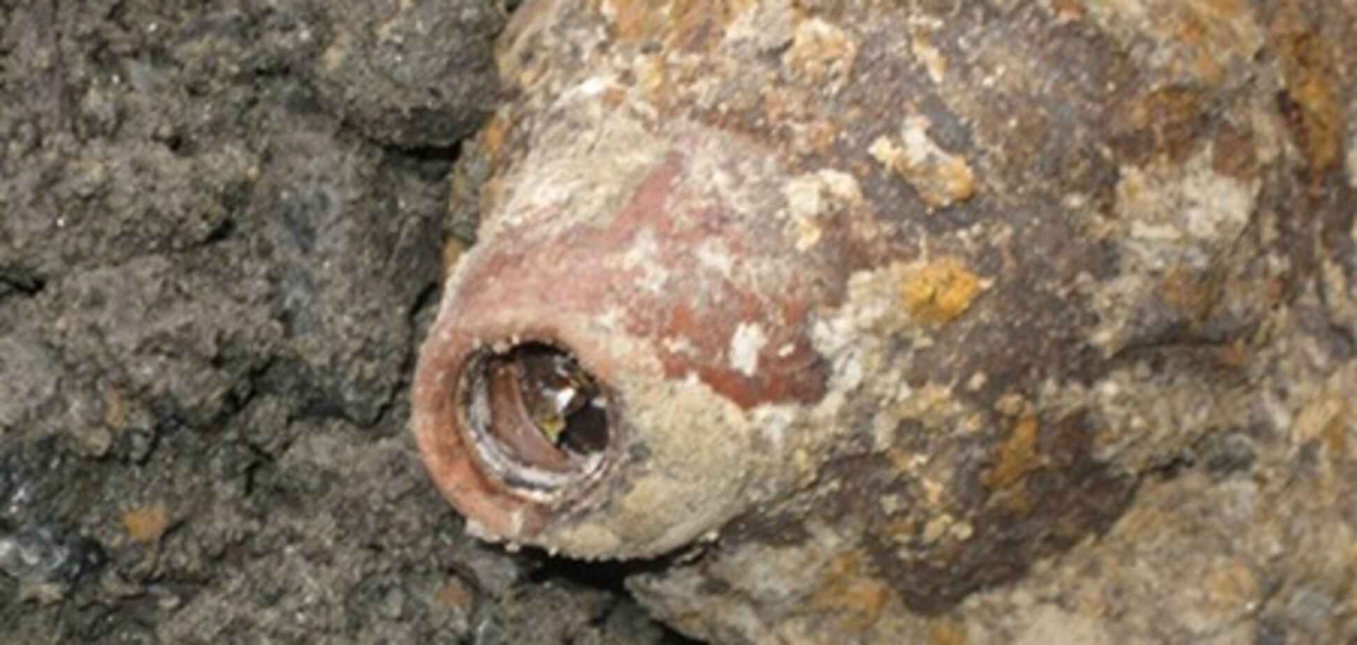 Хмельниччина. Біля школи знову знайшли міну