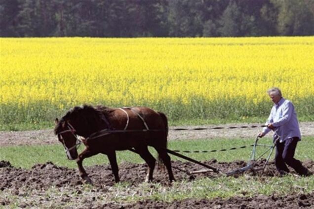 Украина будет поддерживать курс на развитие сельского хозяйства - Азаров