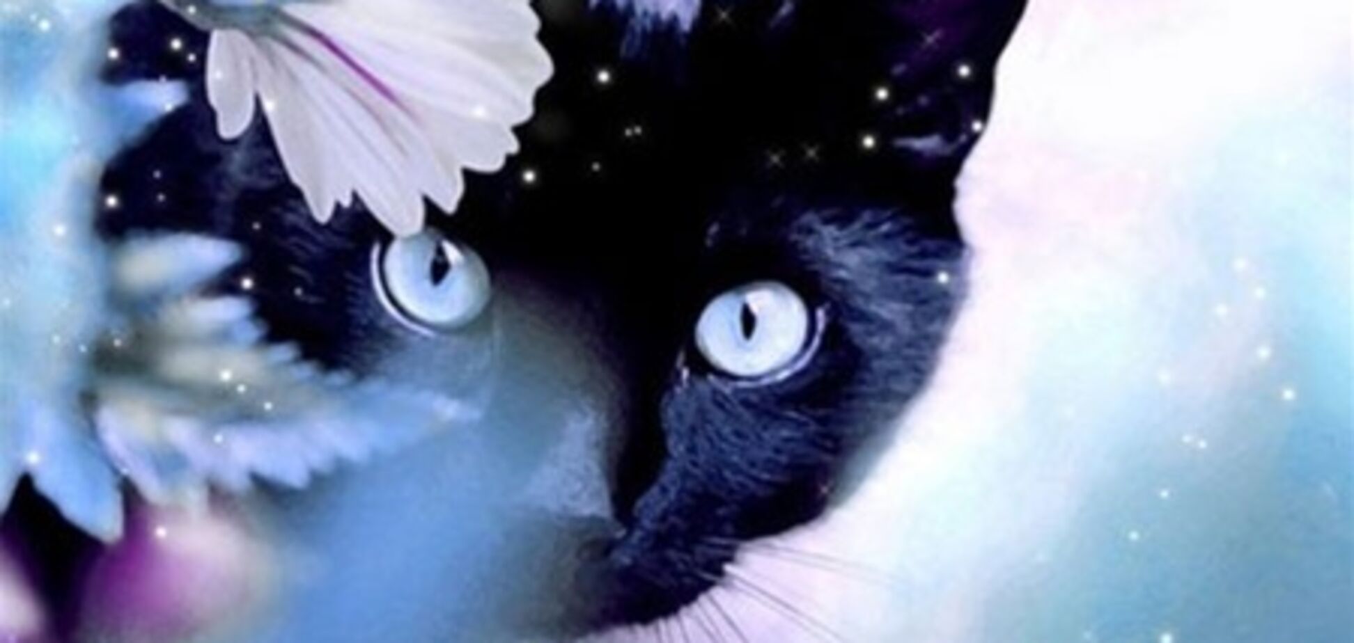 'Черные даты'-2012: астрологи советуют 13 января сидеть дома