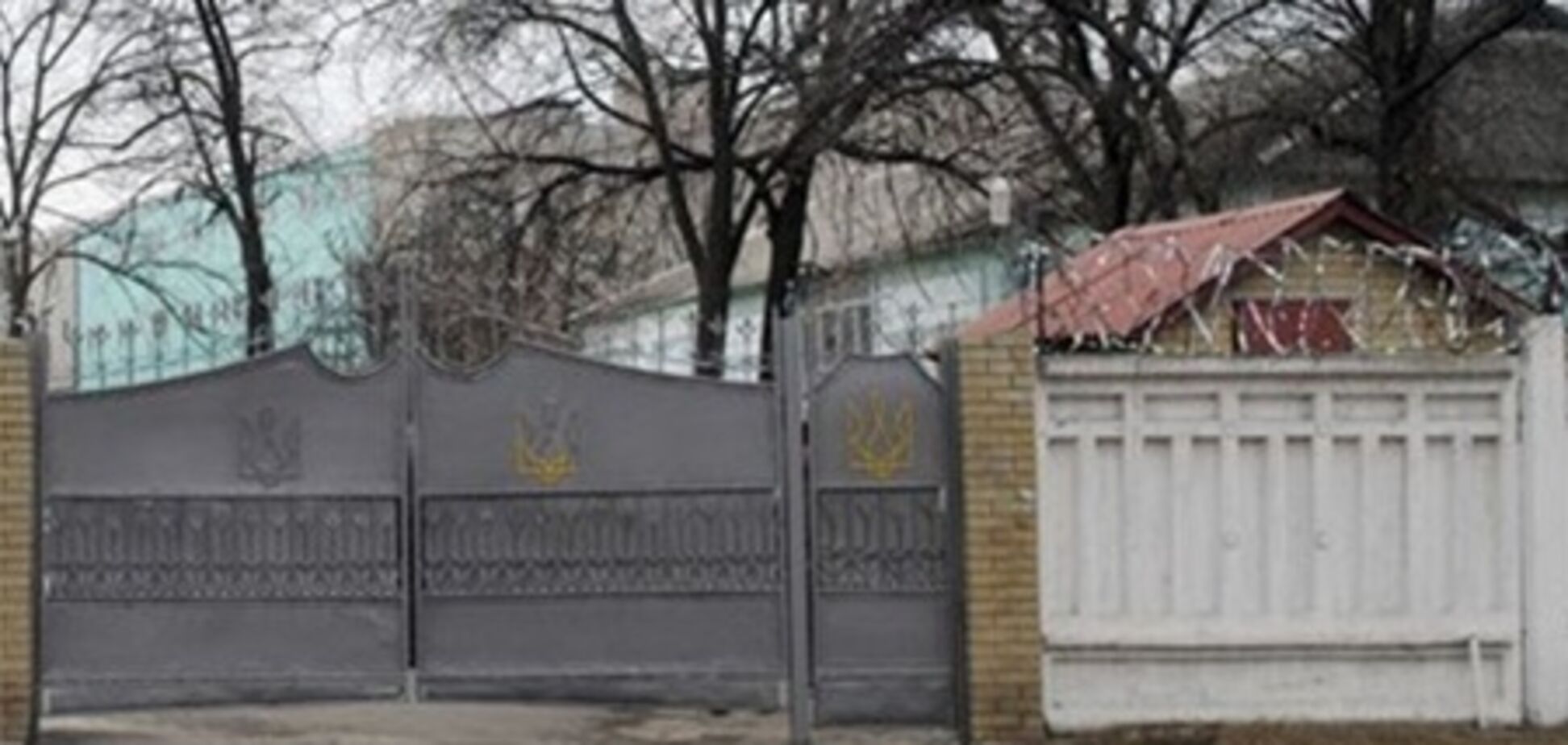 До Качанівської колонії принесли живі квіти для Тимошенко